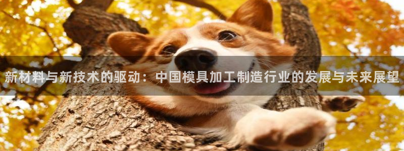 彩名堂是正规的公司吗