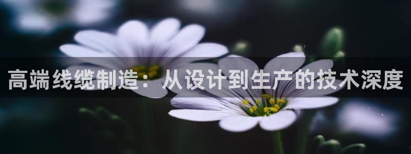 彩名堂最新免费计划官网