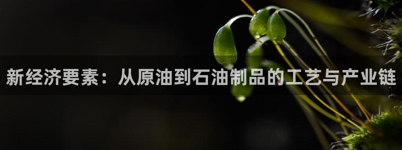 彩名堂免费计划5.0使用方法是什么