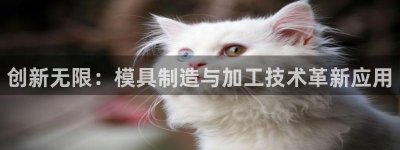 彩名堂计划怎么跟,为什么我一跟就挂