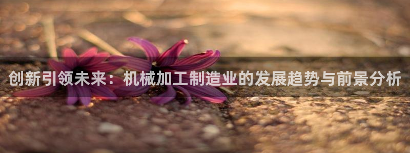 彩名堂是什么