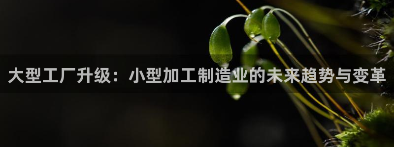 彩名堂预测免费计划