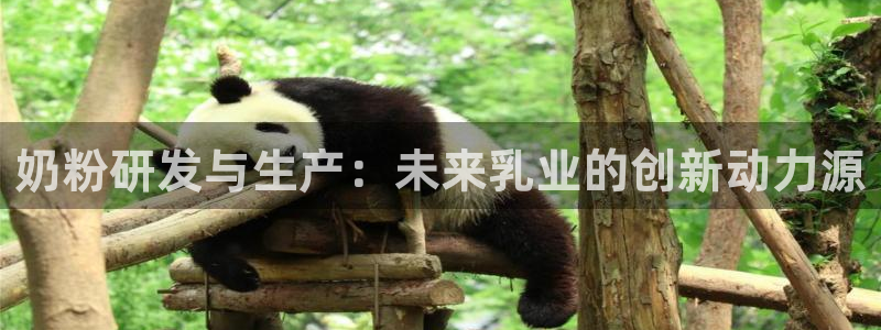 彩名堂975新版本