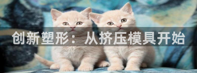 彩名堂在线下载