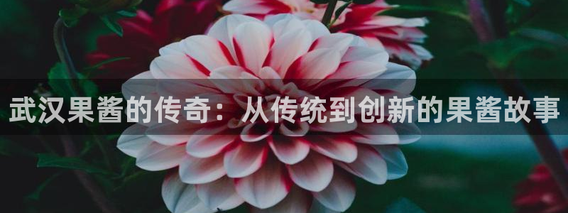 彩名堂怎么用不了了