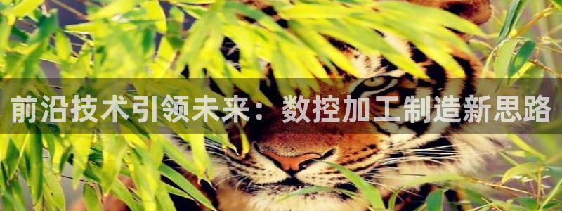 彩名堂下载官网