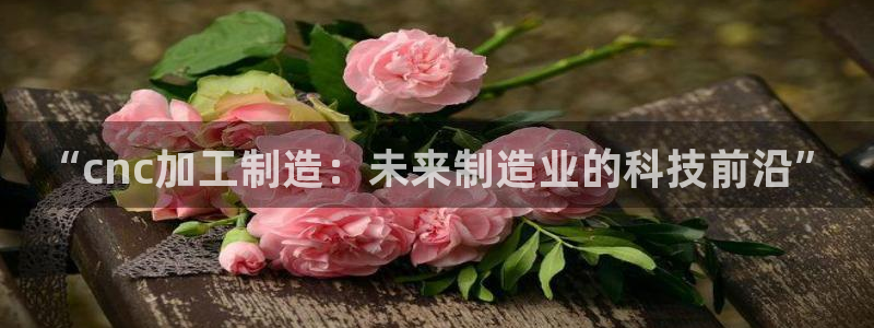 彩名堂预测官网