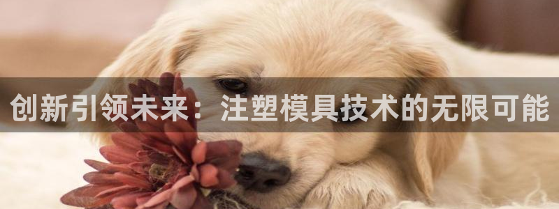 彩名堂安卓客户端官网