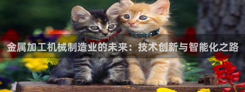 彩名堂app官网