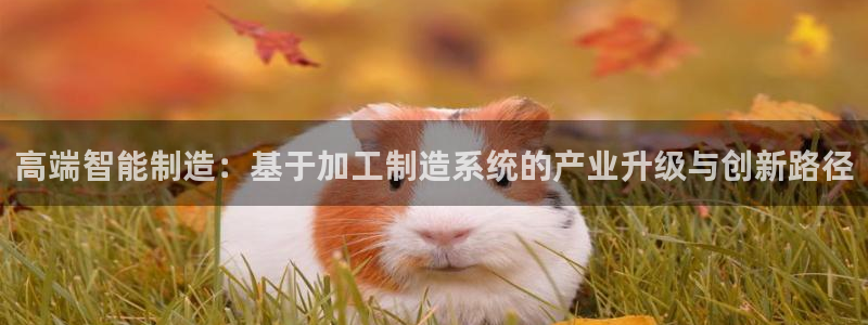 彩名堂免费计划官网5.0版下载链接