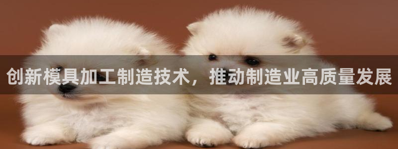 彩名堂.netnet