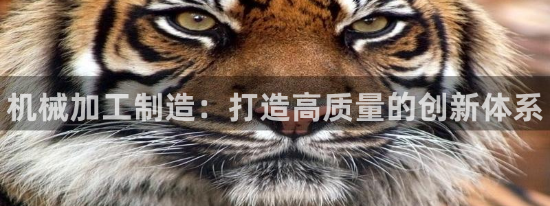 彩名堂预测软件