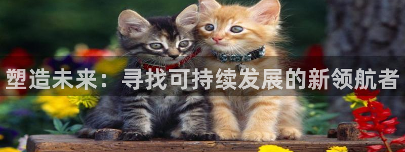 彩名堂图片