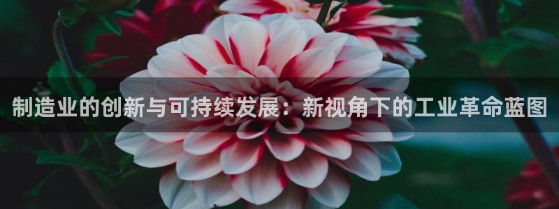 彩名堂计划技巧有哪些
