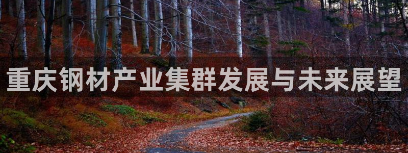 彩名堂用不了