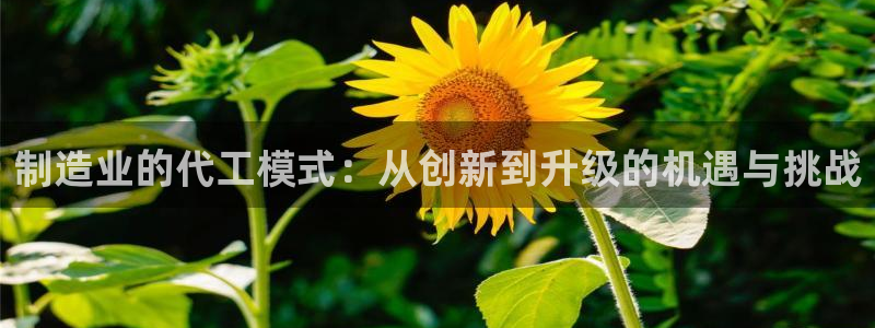 彩名堂改名稻草人了吗知乎
