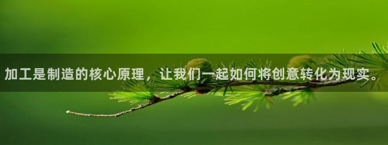 彩名堂官网网页计划