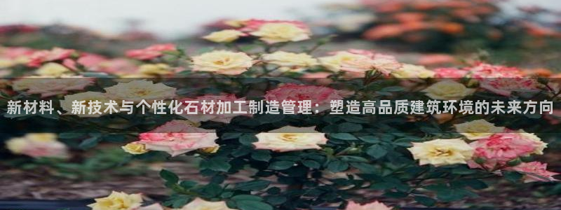 彩名堂最新计划下载地址