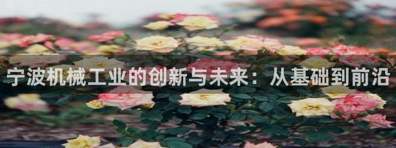 彩名堂5.0