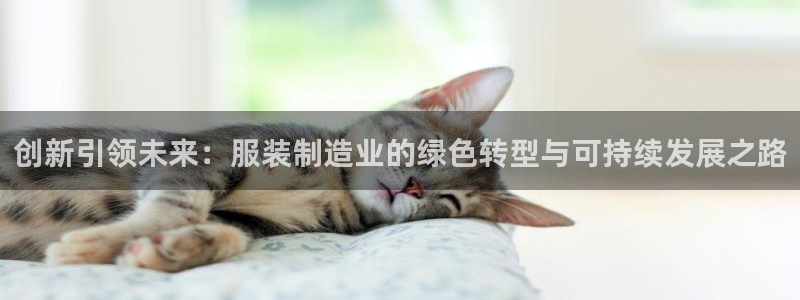 彩名堂.apk