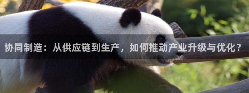 彩名堂使用方法和用量