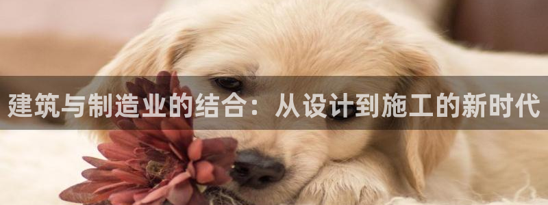 彩名堂图片