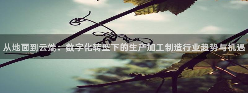 彩名堂手机版官网