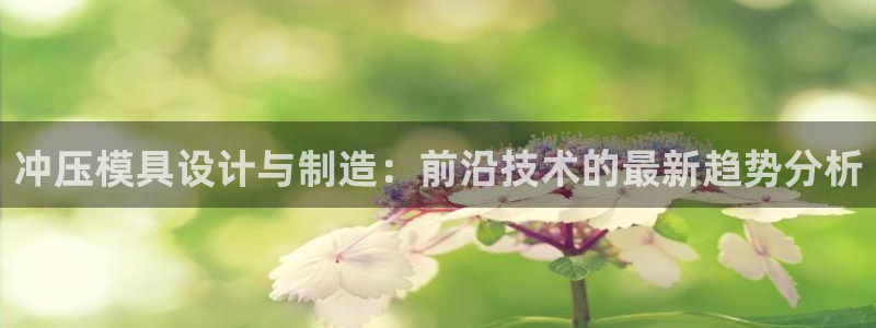 正规彩名堂官网计划01