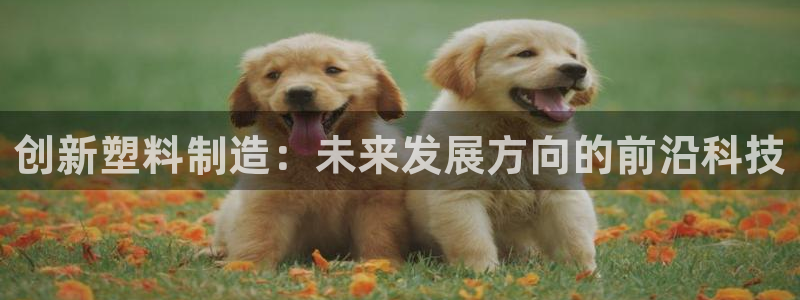 彩名堂计划真的准吗