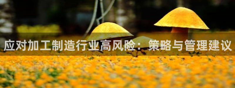 下载彩名堂预测计划软件安装