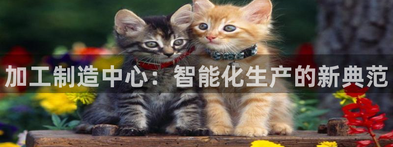 彩名堂4.3