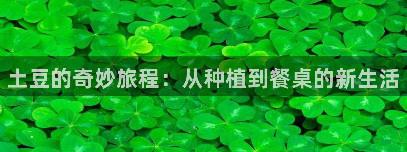 下载彩名堂预测计划软件安全吗