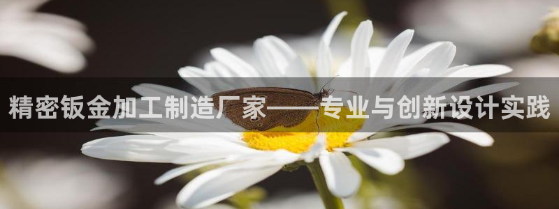 彩名堂app计划官方网站