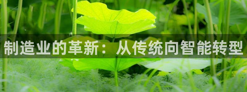 彩名堂用不了