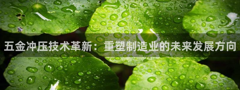 彩名堂免费计划官网50下载957