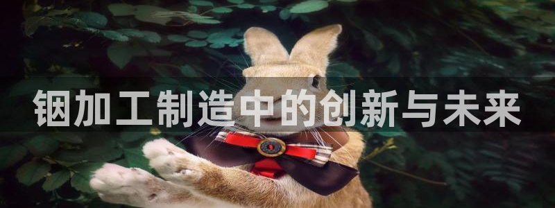 彩名堂全天计划