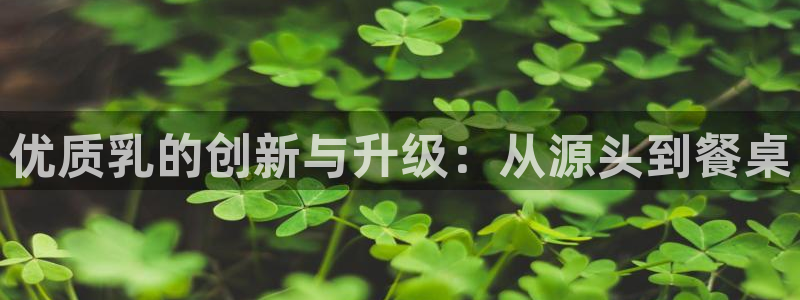 彩名堂手机版官网