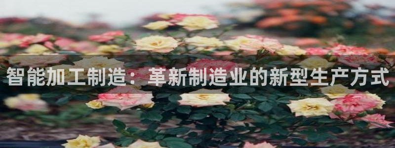 彩名堂双彩网