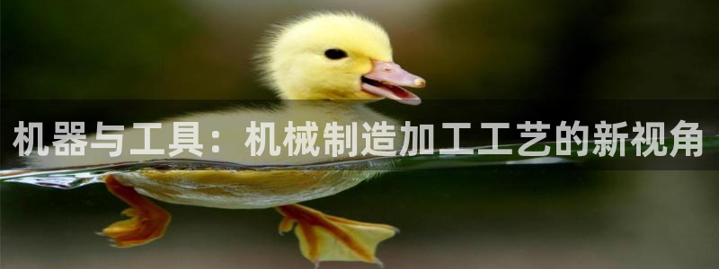 彩名堂用不了