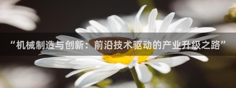 彩名堂好用还是千里马好用一点