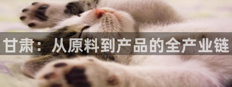 彩名堂预测官网
