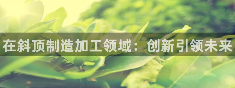 如何进入彩名堂官网更新