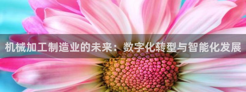 彩名堂怎么跟计划才不连挂