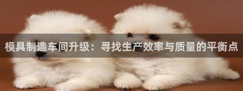 彩名堂官网计划01