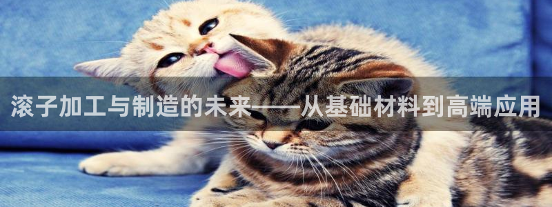 彩名堂最新免费计划官网