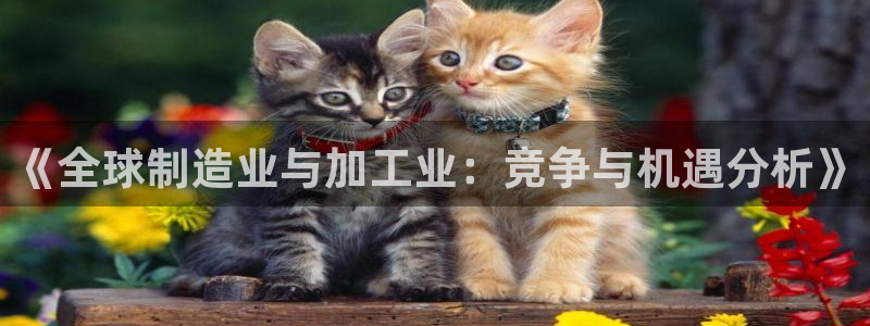 彩名堂手机版官网