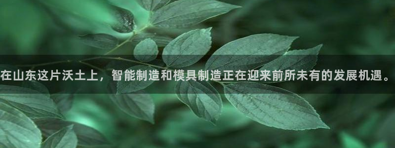 彩名堂计划app新版