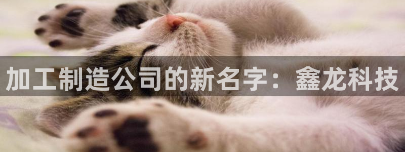 彩名堂手机客户端怎么进不去了