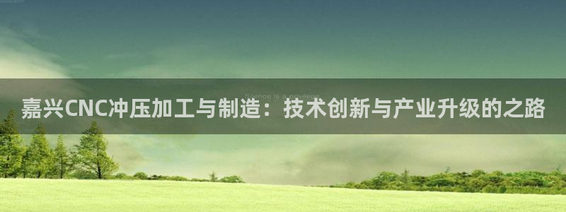 彩名堂预测计划