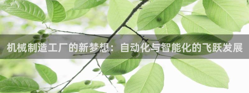 彩名堂预测网站